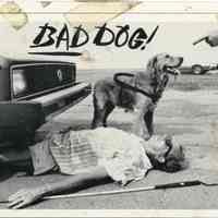          Bad Dog!; © Key West Art & Historical Society
   