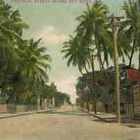 Tropical Street Scene, Key West, Florida