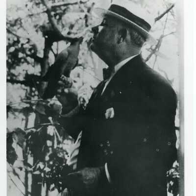 Willliam DeMeritt Feeding a White Headed Pigeon 1930