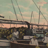 Cleaning Sponges, Key West, Fla.