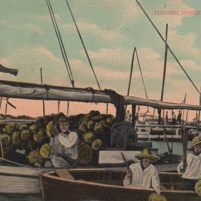 Cleaning Sponges, Key West, Fla.