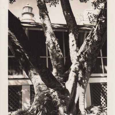 The Key West Lighthouse