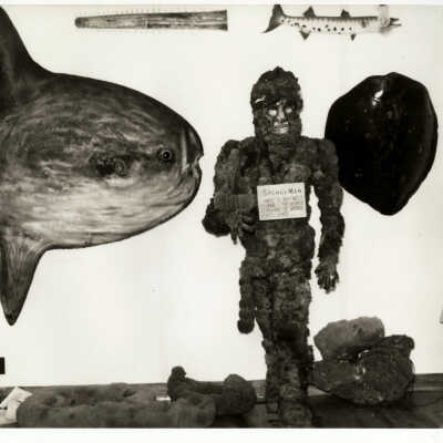 Sponge Man at Thompson Curio Shop