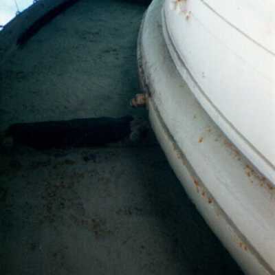 Platform of the Key West Lighthouse: Copyright: © Key West Art & Historical Society; Origformat: Print-Photographic