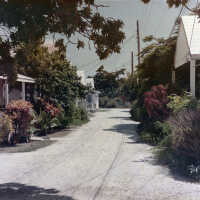 Galveston Lane