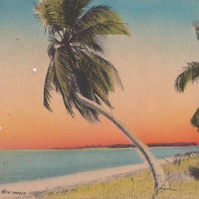 On the Florida Coast