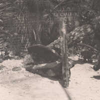 East Martello