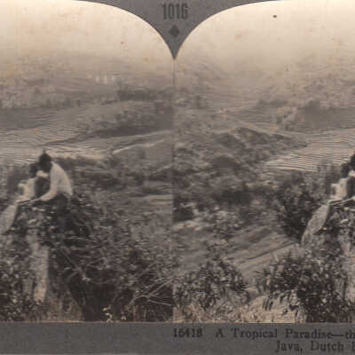 Stereoview of the island of Java, Dutch East Indies
