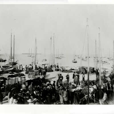 Sponge Sale at Key West Bight