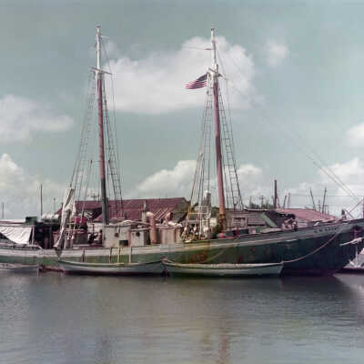 Turtle Schooner A.M. Adams