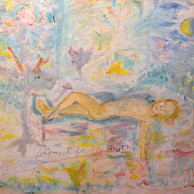 Lament for the Moths