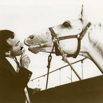 Otto Herrmann talking to a horse Olgan Conversano