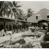 Key West Aquarium