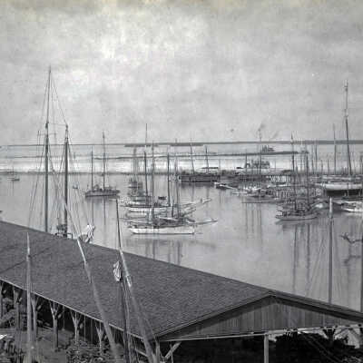 Schooners and Sloops in Key West Harbor