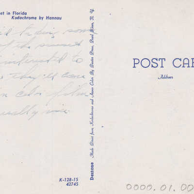 Tropical sunset in Florida