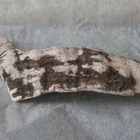 Shell Tool