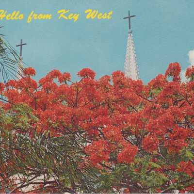 Hello From Key West