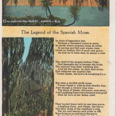 The Legend of Spanish Moss