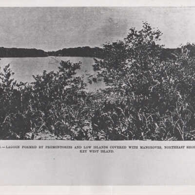 Northeast shore of Key West