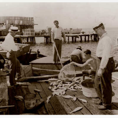 Fishermen Unloading Yellowtail Snapper