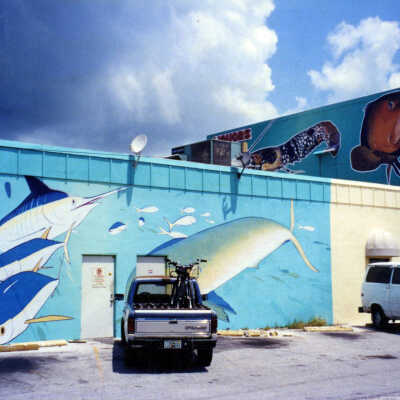 Wall Mural on Paradise Liquor Store