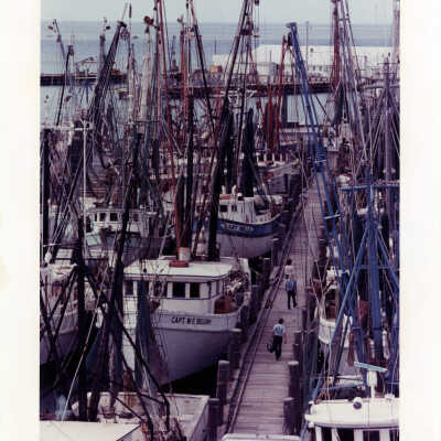 Shrimp Fleet at Key West Bight