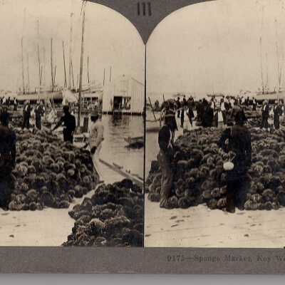 Stereograph