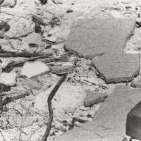 East Martello