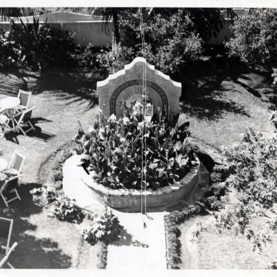 Garden at Pena's Garden of Roses