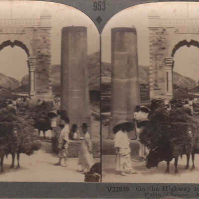Stereoview of men and bulls in Korea