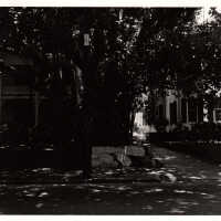 Houses on Whitehead Street
