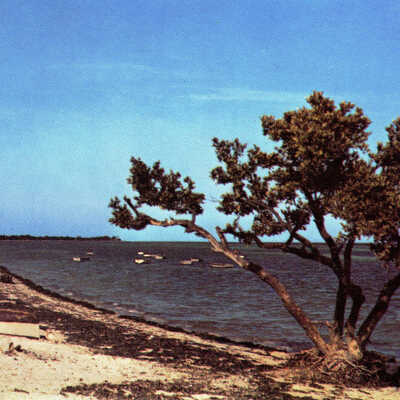 Rest Beach, Key West
