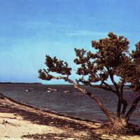 Rest Beach, Key West
