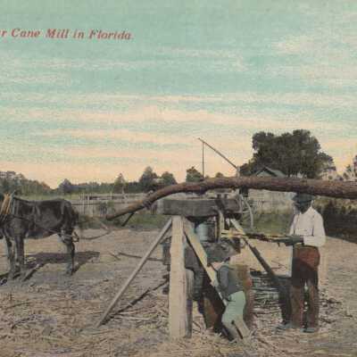 A Sugar Cane Mill in Florida