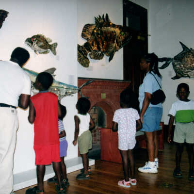 Captain Honk Exhibit