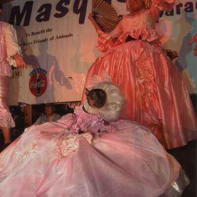 Unknown person and dog dressed up.