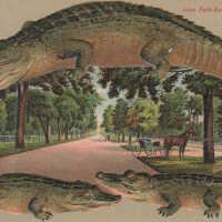 Park Avenue, Jacksonville, Florida