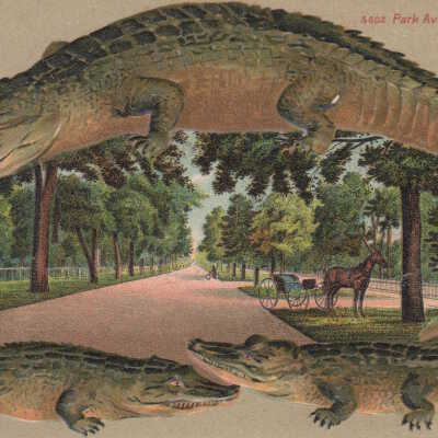 Park Avenue, Jacksonville, Florida