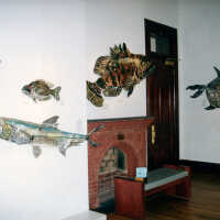 Captain Honk Exhibit