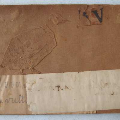 Ernest Hemingway Alphabet Workbook