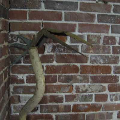 Pink Flamingo: © Key West Art & Historical Society