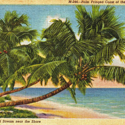 Palm Fringed Coast of the Florida Keys