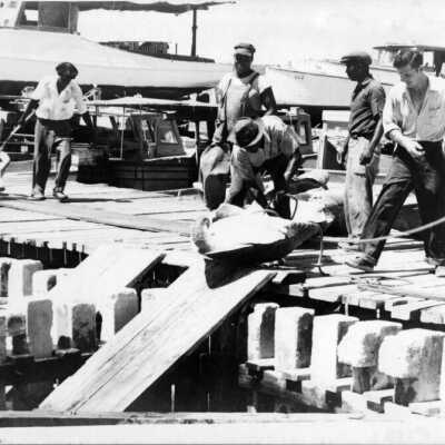 Turtle Kraals: Copyright: © Key West Art & Historical Society