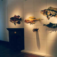 Captain Honk Exhibit