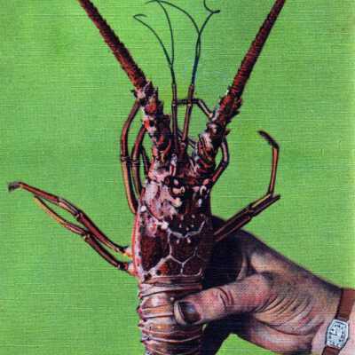 Florida Spiny Lobster: Copyright: @ Key West Art & Historical Society; Origformat: Print-Photographic