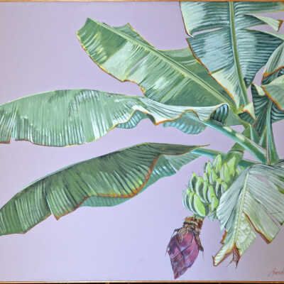 Untitled (Banana Palm)