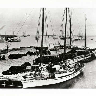 The Schooner City of Key West