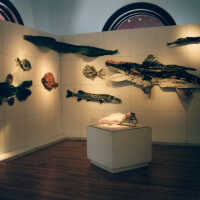 Captain Honk Exhibit