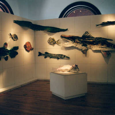 Captain Honk Exhibit