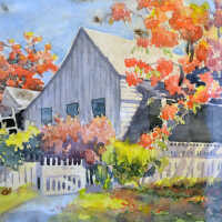 Cottage with Royal Poinciana